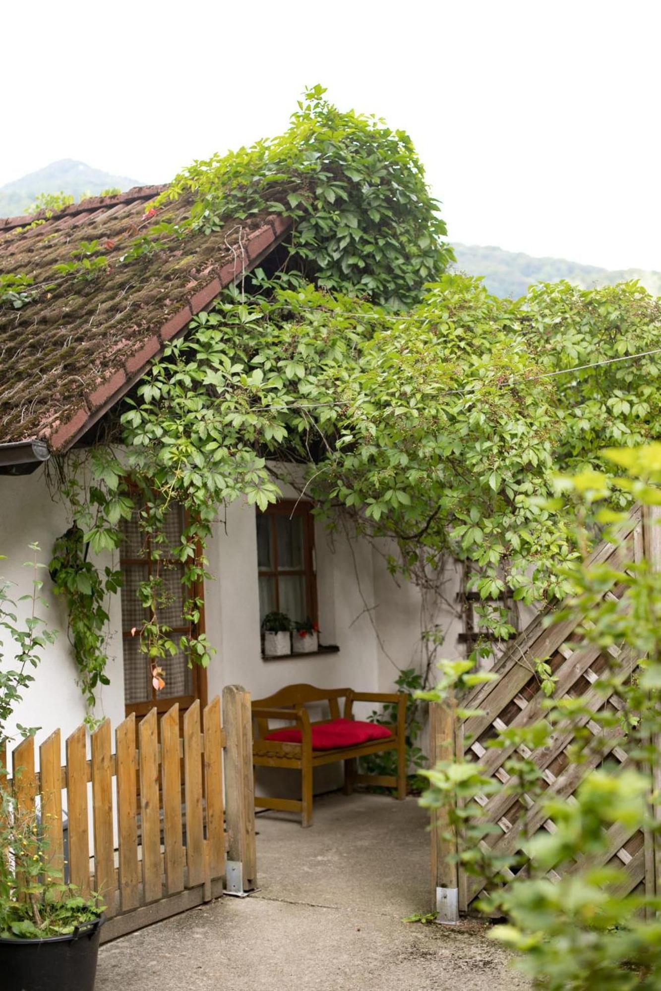 Steinschalerhof Hotel Warth  Luaran gambar