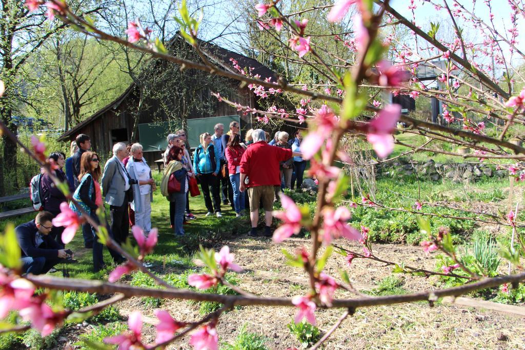 Steinschalerhof Hotel Warth  Luaran gambar