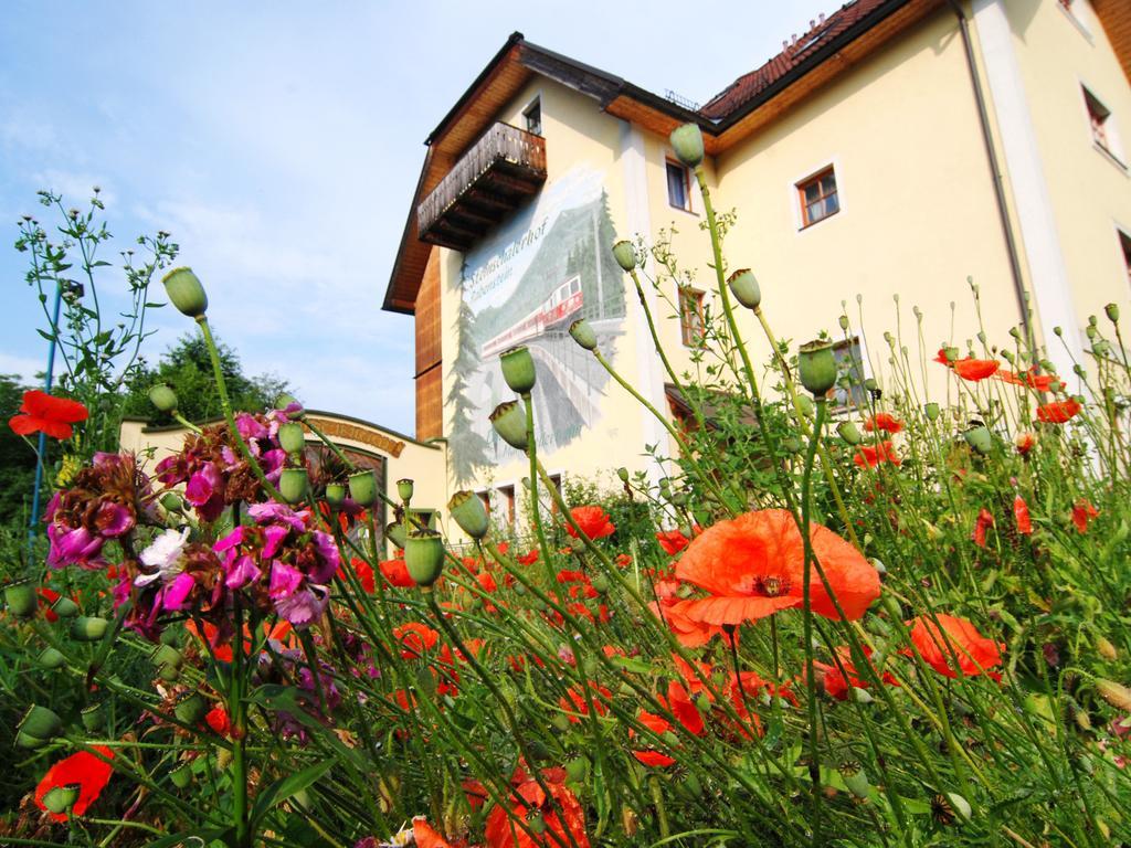 Steinschalerhof Hotel Warth  Luaran gambar